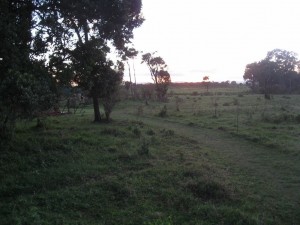 The path to our tent