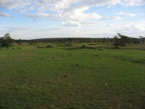 The view from the lodge