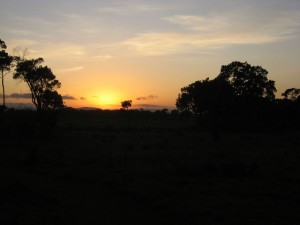 Sunset at Elephant Pepper