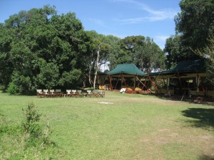 Elephant Pepper Camp