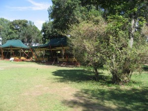 Elephant Pepper Camp