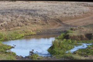 Water hazard in the road