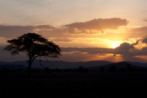 Lewa sunset