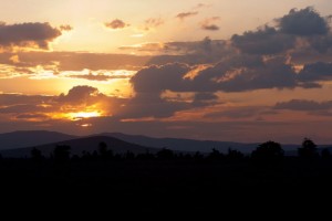 Lewa sunset