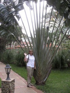 Marion at the Fairview Hotel