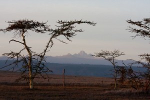 Mt Kenya, Lewa Camp