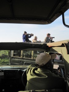 Photographers, Elephant Pepper