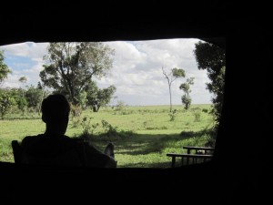 Bart watches the animal parade, Elephant Pepper