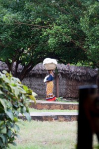 Housekeeping, Ras Nangwi, Zanzibar