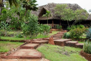 Ras Nangwi, Zanzibar