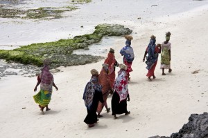 Women removing a rock wall, Ras Nangwi, Zanzibar