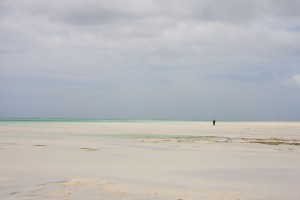 Ras Nangwi, Zanzibar