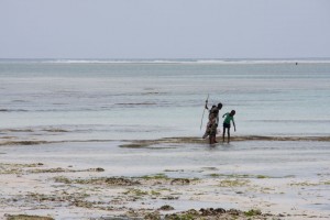 Ras Nangwi, Zanzibar