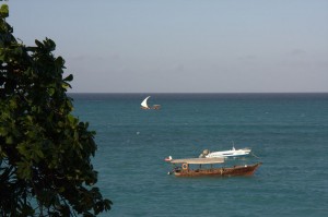 Ras Nangwi, Zanzibar