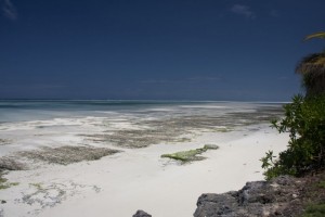 Ras Nangwi, Zanzibar