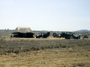 Welcome committee, Lewa Camp