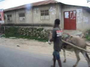 Heading back to Stone Town, Zanzibar