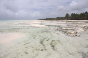 Low tide