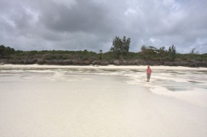 Marion looks for shells