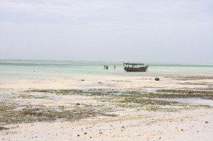 Waiting for the tide to come in