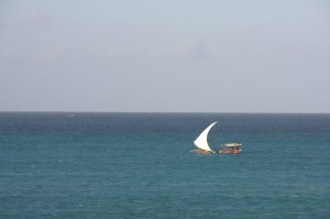 A dhow sails by