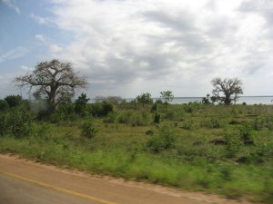 The road to Stone Town