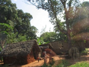 The road to Stone Town