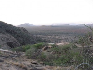 The view from the trail