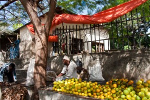 Orange seller