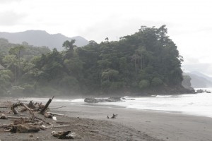 Beach near the village