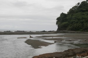 Beach near the village