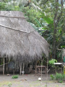 Embara hut (MAK)