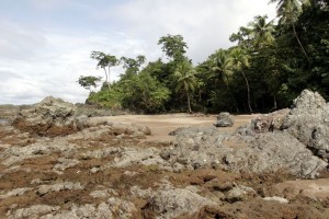 Beach next to Caletas