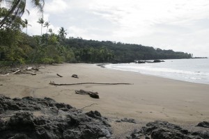 The beach next to the beach