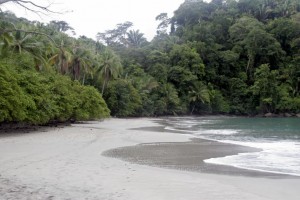 The beach at Manuel Antonio