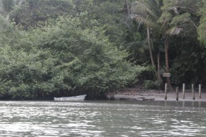 The river crossing