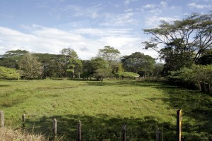 Road to the canopy tour