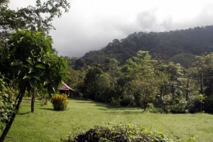 Road to the canopy tour