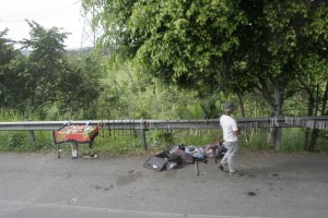 Roadside vendor