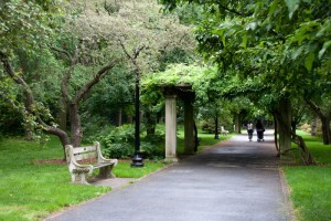 Brooklyn Botanical Garden