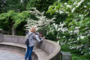 Brooklyn Botanical Garden