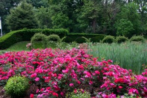 Brooklyn Botanical Garden