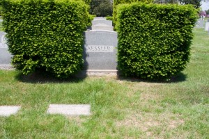 Albert and Nana's grave