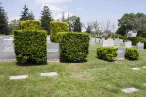 Albert and Nana's grave