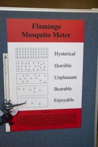 Mosquito meter (today's level, enjoyable)