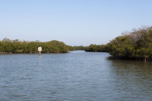 Caladesi Island inlet