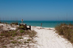 Caladesi Island beach