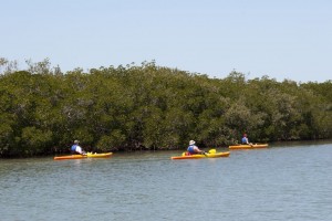 Kayakers