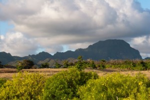 The view behind our place