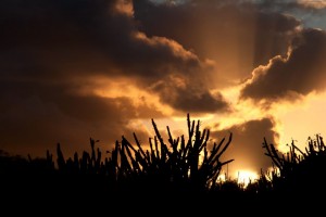 Sunrise behind the Poipu Mall